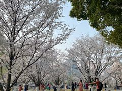 -西北湖绿化广场