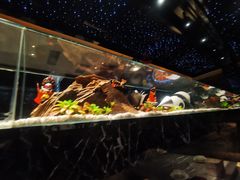 -红辣椒·川菜·火锅(大洋中心店)