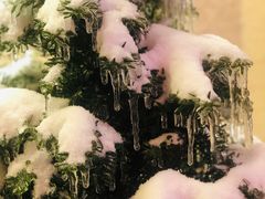 -砂唐居(总店)