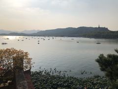 -湖畔居茶楼(湖滨店)