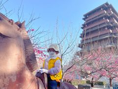 -西安汉城湖景区