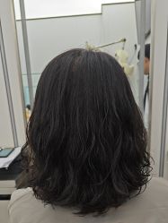 -豪斯塔美发连锁