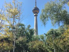 -中央广播电视塔