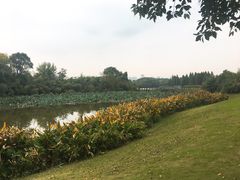 -艾溪湖湿地公园