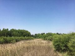 -恩格贝生态旅游区