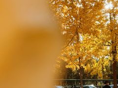 -浙江大学(紫金港校区)