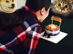 -EnergyCake蛋糕理想国