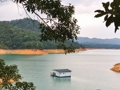 -广州市流溪河国家森林公园