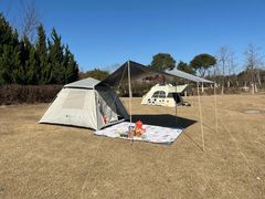 -春花秋色城市公园