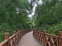 -大亚湾红树林城市湿地公园