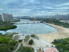 -五缘湾湿地公园