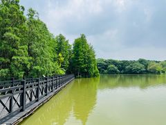 -海珠湖公园