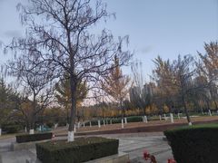 -辽宁大学(崇山校区)