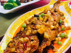 -万柳阁小馆·花园餐厅(龙潭湖店)