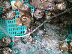 -胖子饺子馆·海鲜家常菜(海军博物馆店)