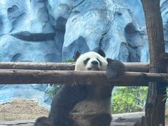 -乐和乐都主题乐园