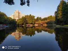-晓港公园