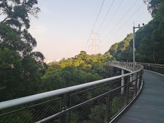 -仙岳公园