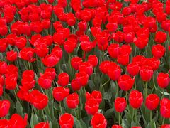 -玄武湖景区-情侣园游乐场