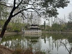 -习家池