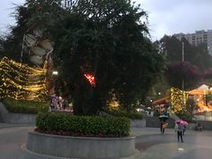 -凤岭儿童公园