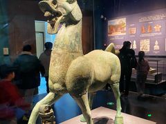 -广西壮族自治区博物馆