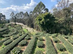 -樱桃山旅游景区