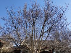 -齐白石旧居纪念馆