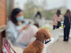 -趣小咖(溪悦荟店)