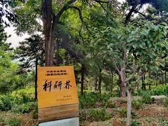 -北京西山国家森林公园