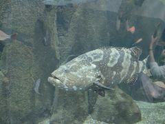-福州罗源湾海洋世界旅游区