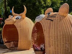 -西霞口神雕山野生动物世界