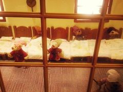 泰迪熊博物馆-济州岛泰迪熊博物馆