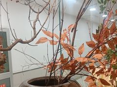 -北李·海肠捞饭·大连菜(望京凯德MALL店)