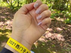 -上海滨江森林公园