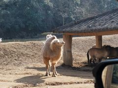 -杭州野生动物世界