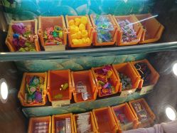 -卡通尼·Safari非洲探索乐园·生日会(金桥国际商业广场店)