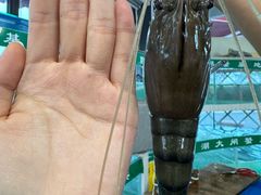 -品鲜村农家菜·阳澄湖大闸蟹(总店)