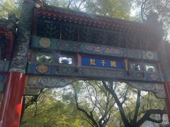 -北京国子监胡同