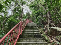 -小南山公园