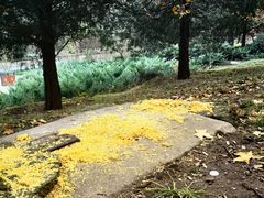 -泓盛花园