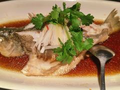 -红杏酒家·地道川菜(一品天下店)