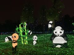 -国际非物质文化遗产博览园
