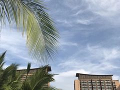 -亚马逊丛林水乐园