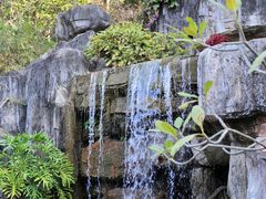 -广州神农草堂中医药博物馆