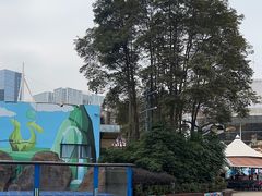 -海合安成都极地海洋公园