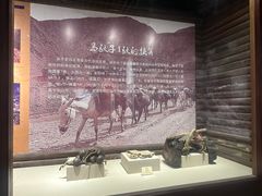 -迪庆藏族自治州博物馆