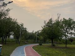 -绿堤公园