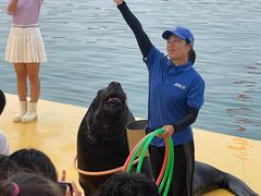 -秦皇岛乐岛海洋王国