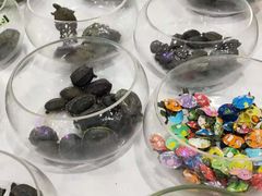 -苏州艺都古玩花鸟市场